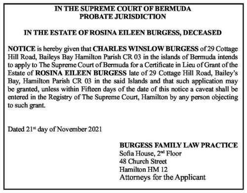 PROBATE JURISDICTION IN THE ESTATE OF ROSINA EILEEN BURGESS DECEASED
