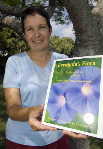 Sharing Her Love For Bermudas Flora The Royal Gazette Bermuda News