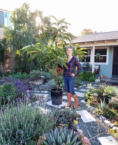 Creating a garden that has appeal all through the year - Vimarsana News