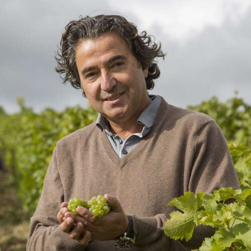 Photo of Vins alternatifs de France – The Royal Gazette