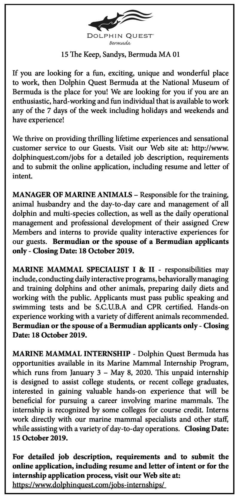 Manager of Marine Animals, Marine Mammal Specialist I & II and Marine  Mammal Internship - The Royal Gazette | Bermuda News, Business, Sports,  Events, & Community |