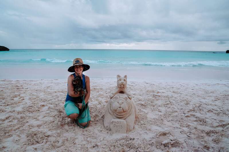 bermuda travel with dog